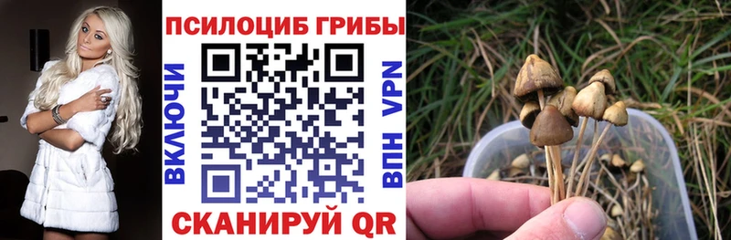 Галлюциногенные грибы мицелий Подпорожье