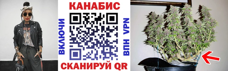 МАРИХУАНА Amnesia  сколько стоит  OMG tor  Подпорожье 